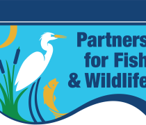 USFWS Partners for Fish and Wildlife Program logo featuring a crane and a fish in a wetland