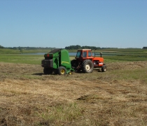 An old, red, closed-cab tractor pulls a green round-baler on a waterfowl production area.