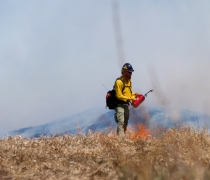 Fire crew member managing a prescribed burn.