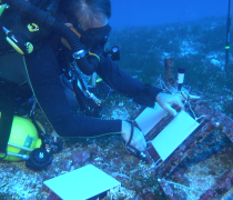 Anthony Montgomery, a marine biologist with the U.S. Fish and Wildlife Service lays out plates used to collect marine cryptobiota, cryptic invertebrates that serve as building blocks for coral, long the ocean floor. 