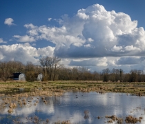 White clouds and blue sky reflected in a marsh with two barns to the left.