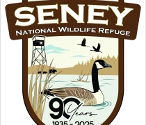 A shield logo showing the words Seney National Wildlife Refuge at the top. Centered in the logo is a Canada goose floating in the water with the words 90 years 1935 - 2025. In the background a fire tower stands, a black bear mother and two cubs walk along the edge of the pool, and two sandhill cranes in flight fly overhead.