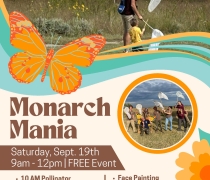 Come join us at Quivira National Wildlife Refuge on September 19 for Monarch Mania, from 9 am to 12 pm. We will have a Pollinator Presentation by Master Gardener Jeanie Johnson, guided monarch tagging, face painting, crafts and activities, Gift shop sales, and refreshments.