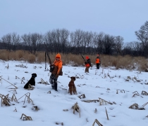 3 women and 2 dogs are hunting pheasants in a snowy field