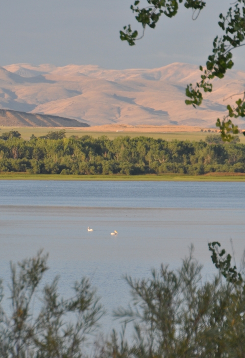 Two distant pelicans in the center of a lake with small mountain formations in the background