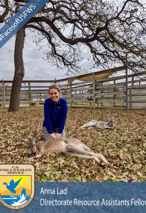 A girl sits with a kangaroo. A banner says "#FacesofUSFWS". Another banner says "Anna Lad, Directorate Resource Assistants Fellow