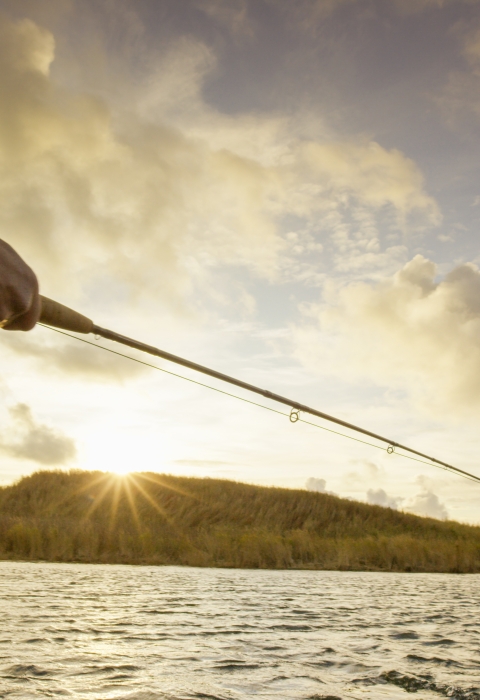 buying fishing rods online