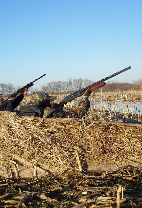 Waterfowl Hunting Regulations - Kentucky Department of Fish & Wildlife