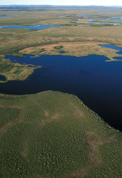 Aerial view of Selawik National Wildlife Refuge Wetlands