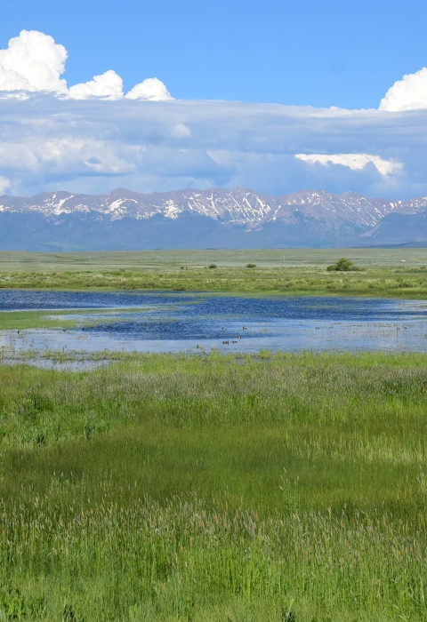 Clouds hover over wetland with snow capped mountains in the background.