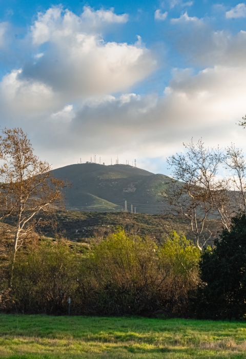 Green grassy space up in the forefront with trees in the middle and rolling hills in the background.