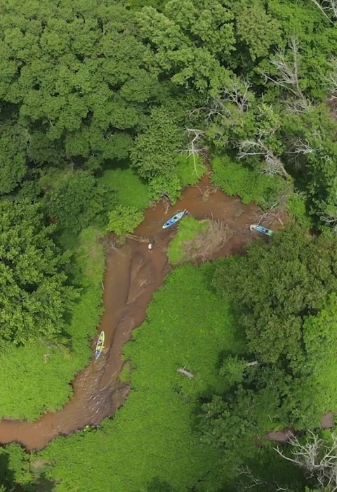 Aerial view of kayakers on a narrow, meandering river surrounded by lush, green vegetation