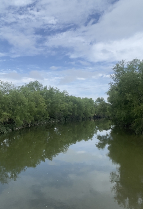 Mission Reach of the San Antonio River