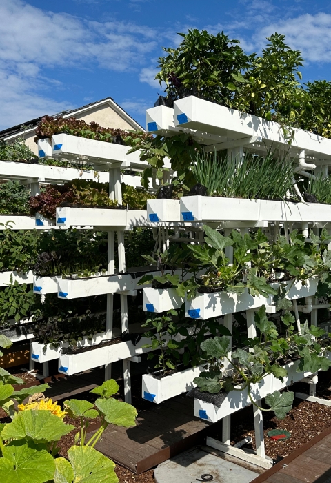 Vertical container garden structures with vegetables