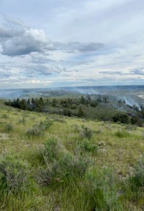 A landscape view of green rolling hills and a small forested section with smoke from a prescribed fire on the landscape. The sky is blue with scattered clouds.