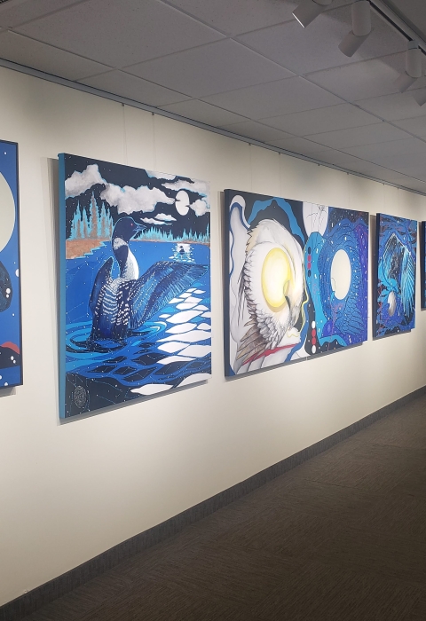 Photo of artwork hanging on walls in the Confluence Gallery that depicts various birds against water and starry skies.