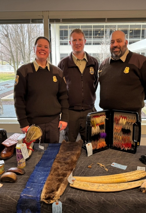 Three uniformed wildlife inspectors stand behind a table with animal skins and skulls