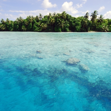 Gorgeous view of bright blue waters with a tropical forest in the background