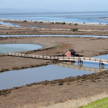 Tidal marsh with a boardwalk bridge trail over a slough and the greater San Francisco Bay in the background.