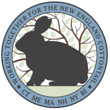 New England Cottontail Initiative Logo