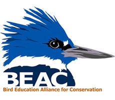 Bird Education Alliance for Conservation Logo