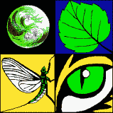 Conservation Biology Institute Logo