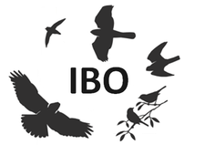 Intermountain Bird Observatory Logo