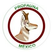 Proteccion de la Fauna Mexicana, A.C. Logo