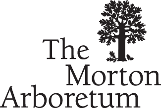 Morton Arboretum Logo