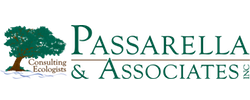 Passarella and Associates Logo