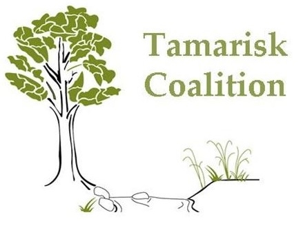 Tamarisk Coalition Logo