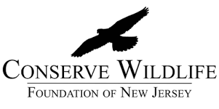 WILD Foundation - Wilderness Conservation & Protection