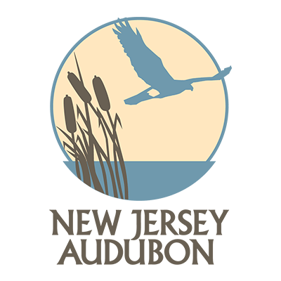 New Jersey Audubon