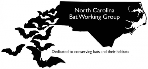 Logo showing a map of the state of North Carolina breaking into bats