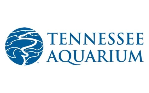 Tennessee Aquarium