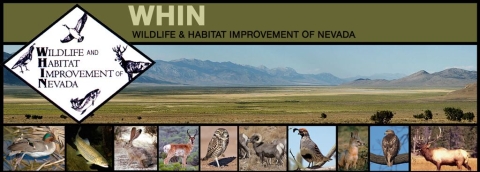 WHIN - Wildlife Habitat Improvements of Nevada Logo