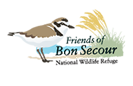 Friends of Bon Secour logo with drawn bird grass and cattails