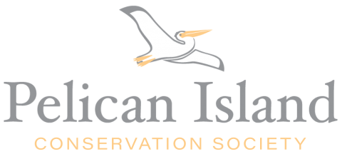 pelican-island-logo