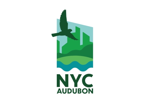 A graphic of a brown bird flying in a green urban setting. The words "NYC Audubon" appear below the graphic.