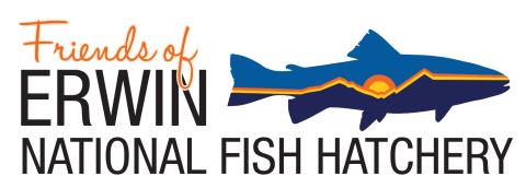A logo stating friends of Erwin National Fish Hatchery. To the left of the text is a trout with an image of mountains and a sunset inside of it.