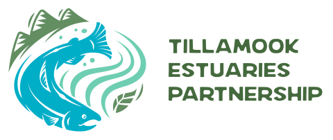 Artistic logo, close up of blue fish turns to the right while swimming in a river with green mountains in the distance on the left bank. Tillamook Estuaries Partnership name is in green on the right side of the logo.