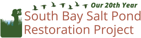 Logo that reads, South Bay Salt Pond Restoration Project with an illustration of a person watching birds flying away from her left and words that read "Our 20th Year."