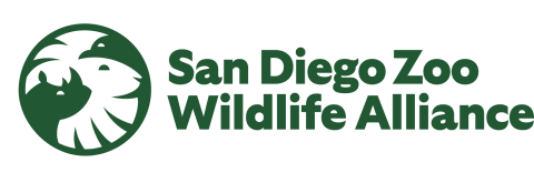 Logo that reads, San Diego Zoo Wildlife Alliance with a small collage of an illustrate images of a lion, rhino, and bird.