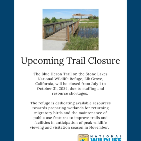 Stone Lakes National Wildlife Refuge Blue Heron Trails Closure Summer 2024
