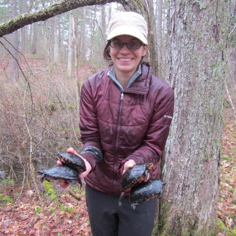 A woman stands in the woods holding two turtles in each hand