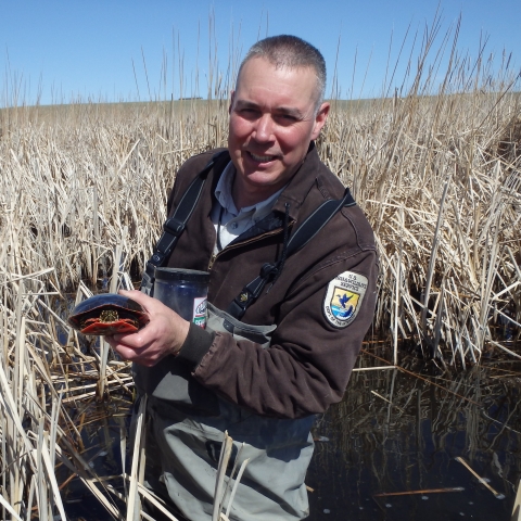 A man standing in a wetland holding a turtle