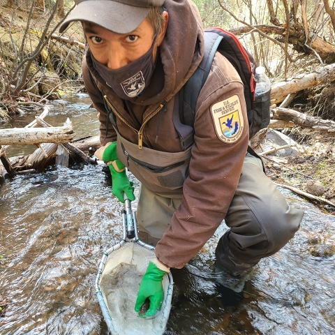 Diego kneels in a stream holding a net with a small fish