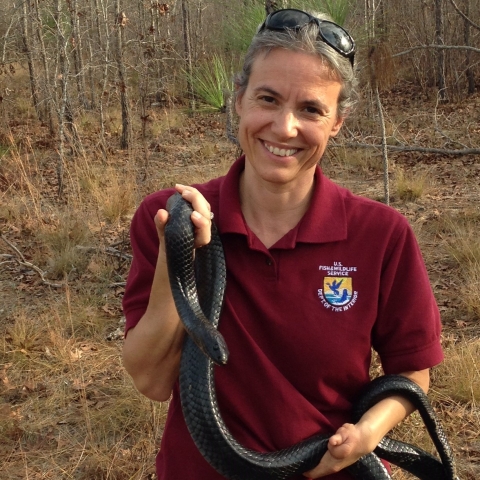 Michele Elmore Ph.D. Recovery and Listing Biologist Plants