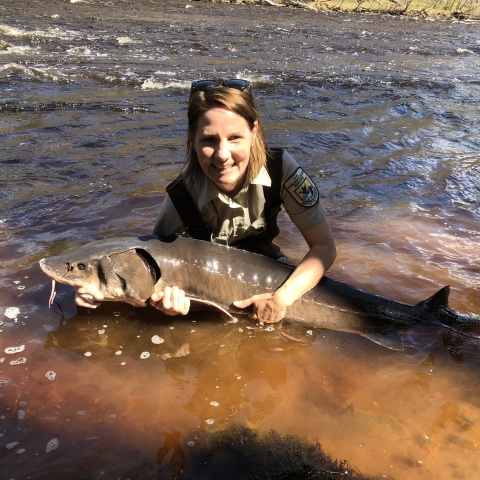 Woman in water holding a lake sturgeon 