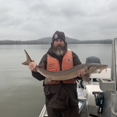 Man holds up a large brown fish with both hands while standing on a boat with a water and hilly backdrop.